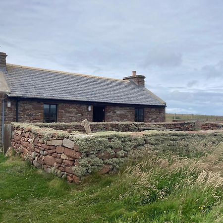 The Ruah - Clifftop Retreat Whitehall Exteriér fotografie